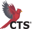 Cardinal Technology Solutions Logo