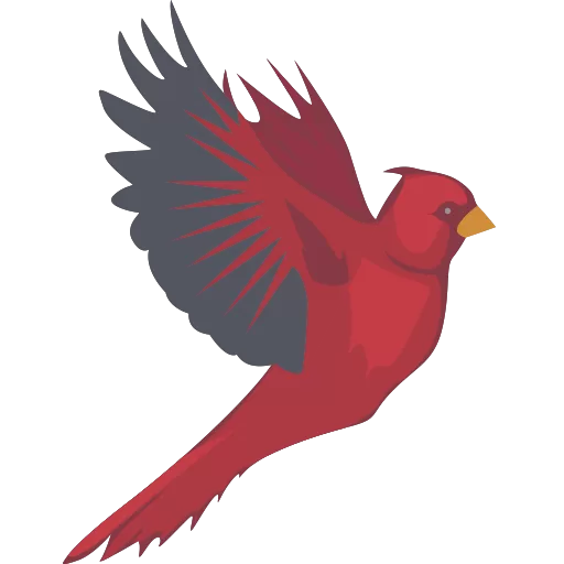 Cardinal Technology Solutions large favicon icon.